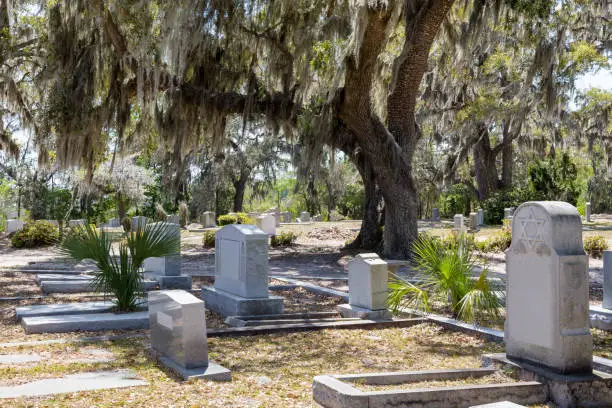 Cmentarz Bonaventure, Savannah, USA, Bonaventure Cemetery, sprzątanie grobów, opieka nad grobami, sprzątanie grobów Śląsk i Zagłębie, opieka nad grobami Śląsk i Zagłębie