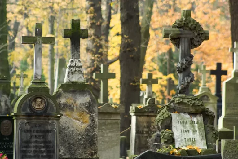 Powązki, Cmentarz Powązkowski, Stare Powązki, sprzątanie grobów, opieka nad grobami, sprzątanie grobów Śląsk i Zagłębie, opieka nad grobami Śląsk i Zagłębie