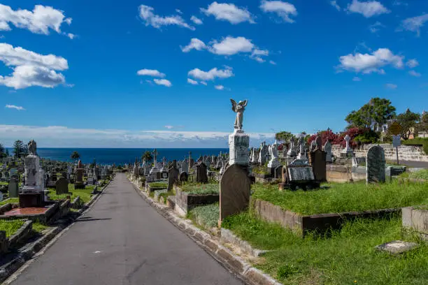 Cmentarz Waverley, Sydney, Australia, Waverley Cemetery, sprzątanie grobów, opieka nad grobami, sprzątanie grobów Śląsk i Zagłębie, opieka nad grobami Śląsk i Zagłębie